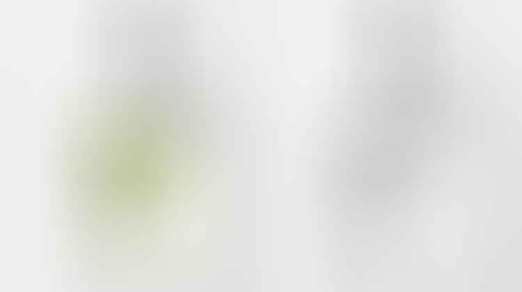 bakuchiol and retinol comparison