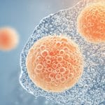 benzoyl peroxide clears acne