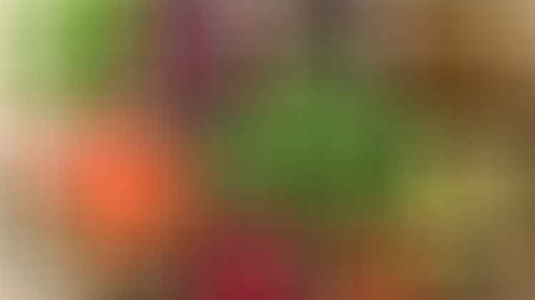 collagen foods enhance skin