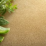 collagen protein benefits revealed