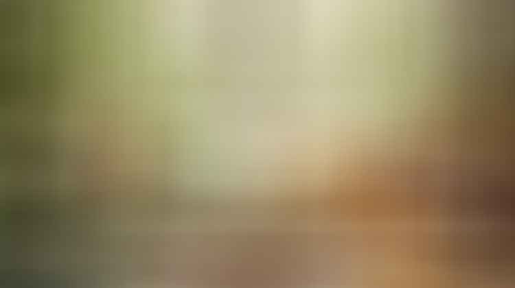 homemade skin moisturizer recipes