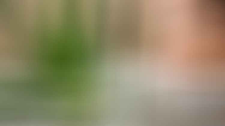 hyaluronic acid for acne