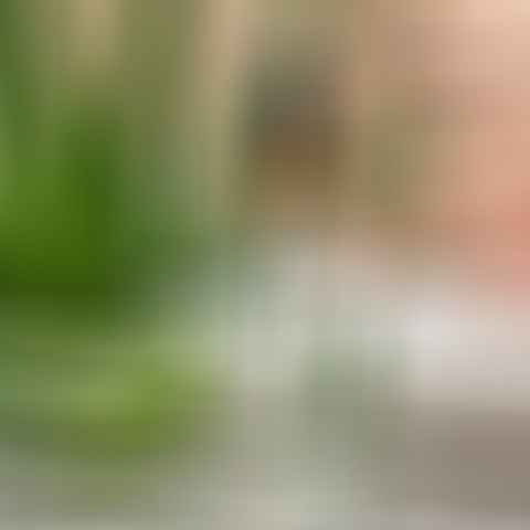 hyaluronic acid for acne