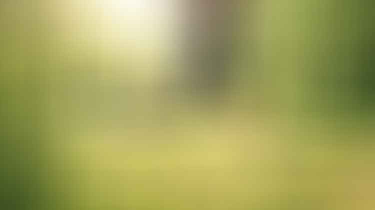 joint comfort for women