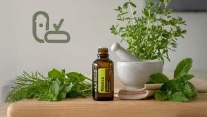Homepage| Nari Nirvana melaleuca oil ingestion safety