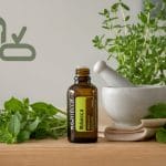 melaleuca oil ingestion safety