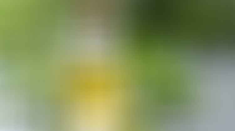 natural remedy for acne