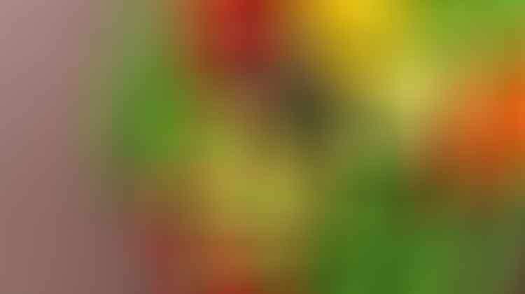 natural skin radiance boosters