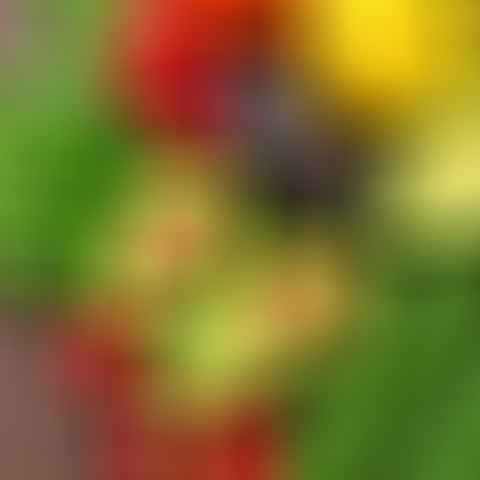 natural skin radiance boosters