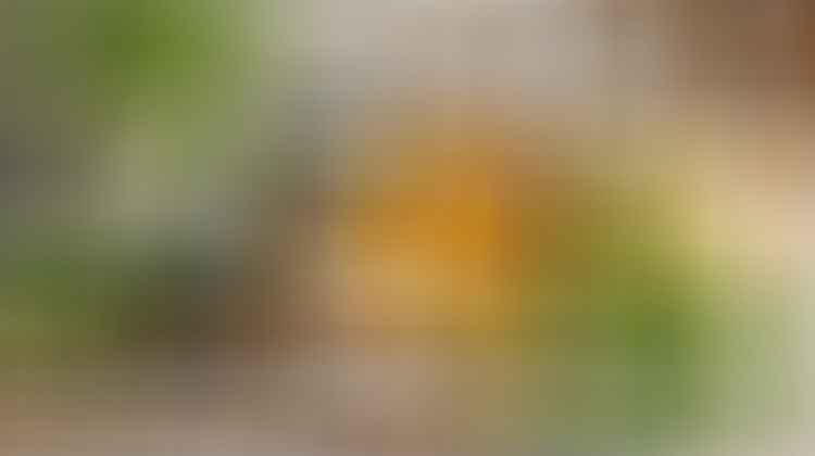 natural skincare face scrubs