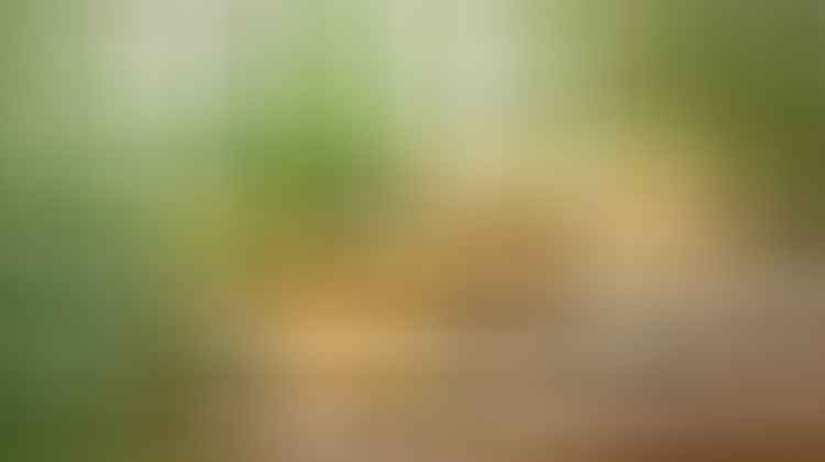 naturally glowing skin tips