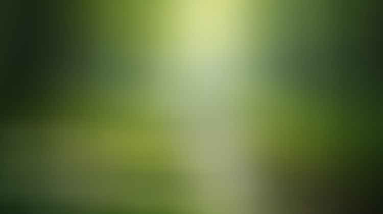 nature s secret for skin