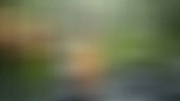 peptides for youthful skin