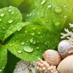 radiant skin natural collagen