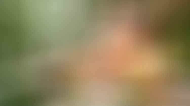 reduce wrinkles for youthfulness