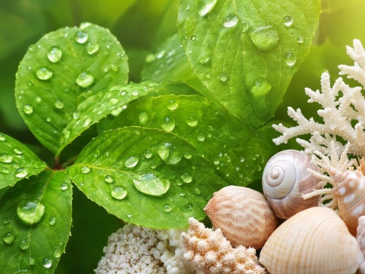 radiant skin natural collagen